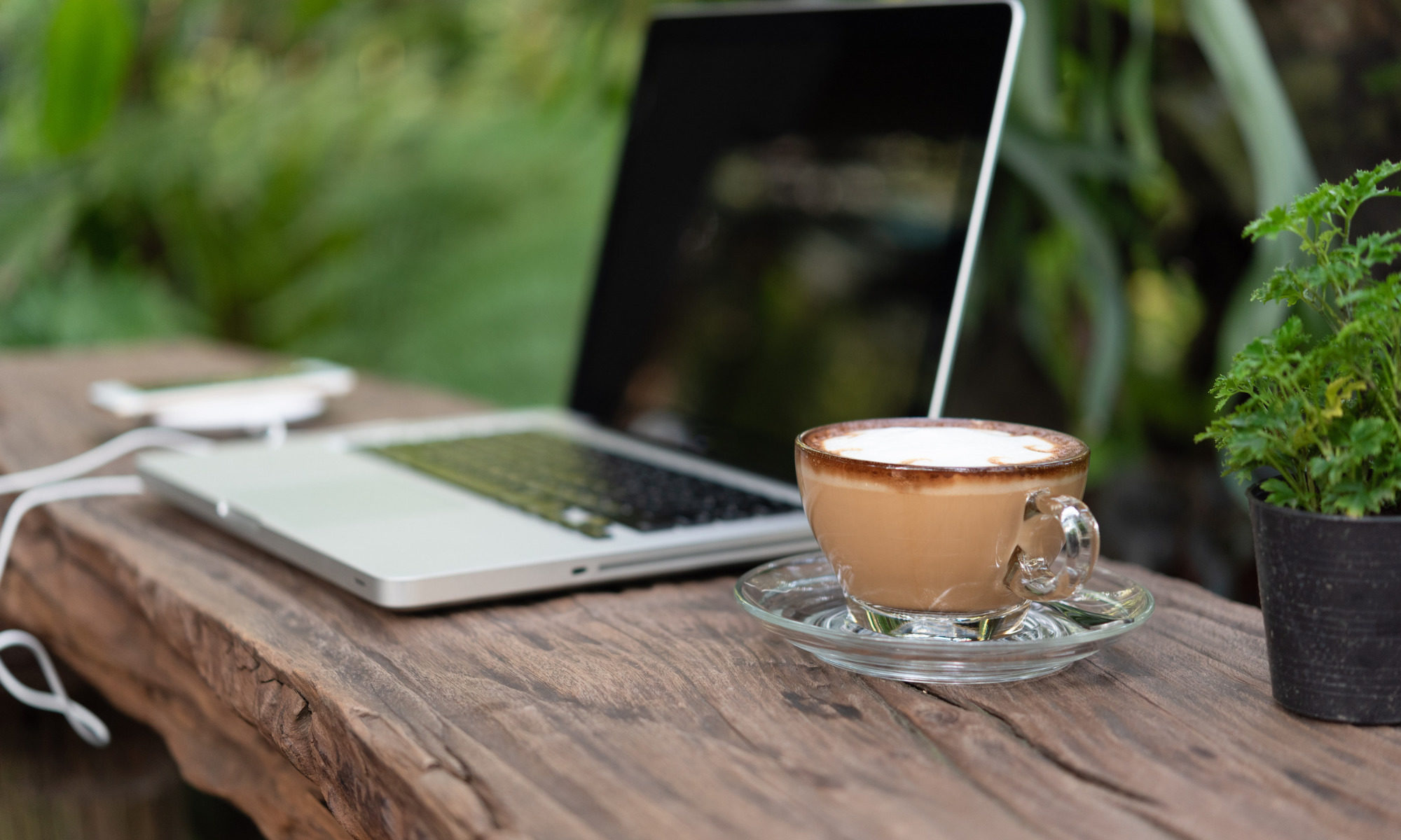 Image of plant, coffee, laptop on a raw wooden surface outside